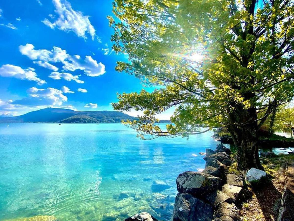 L'Echappee Du 36 - 4 Chambres Dans Le Triangle D'Or A 100M Du Lac, Parking Gratuit Annecy Ngoại thất bức ảnh