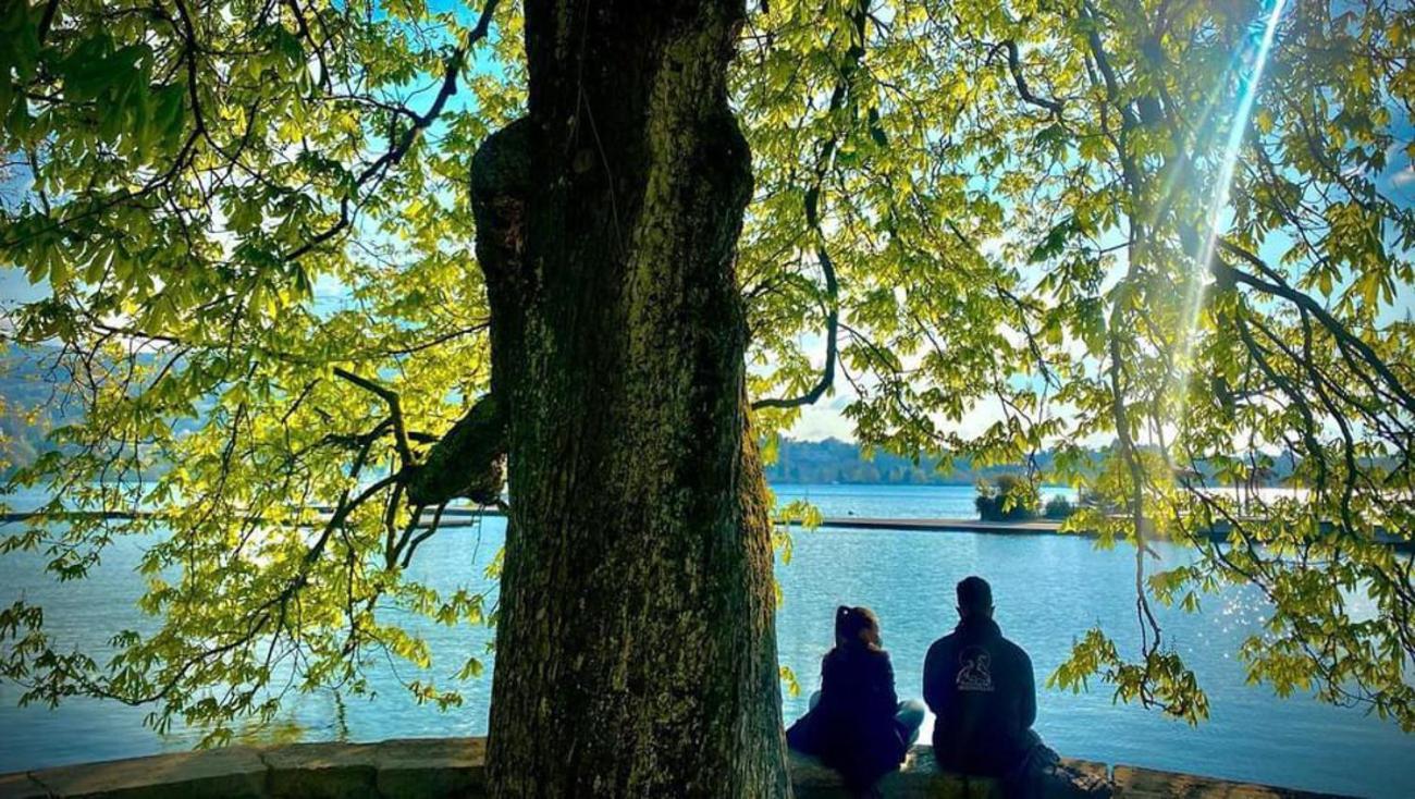L'Echappee Du 36 - 4 Chambres Dans Le Triangle D'Or A 100M Du Lac, Parking Gratuit Annecy Ngoại thất bức ảnh